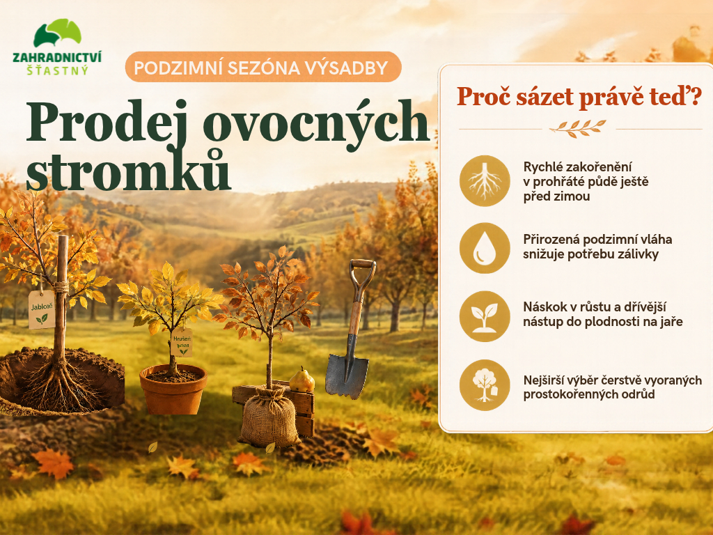 Ovocné stromy dorazily do Zahradnictví Šťastný v Ústí nad Orlicí